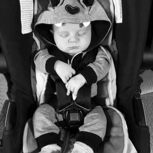 Meet your Posher, Barbara